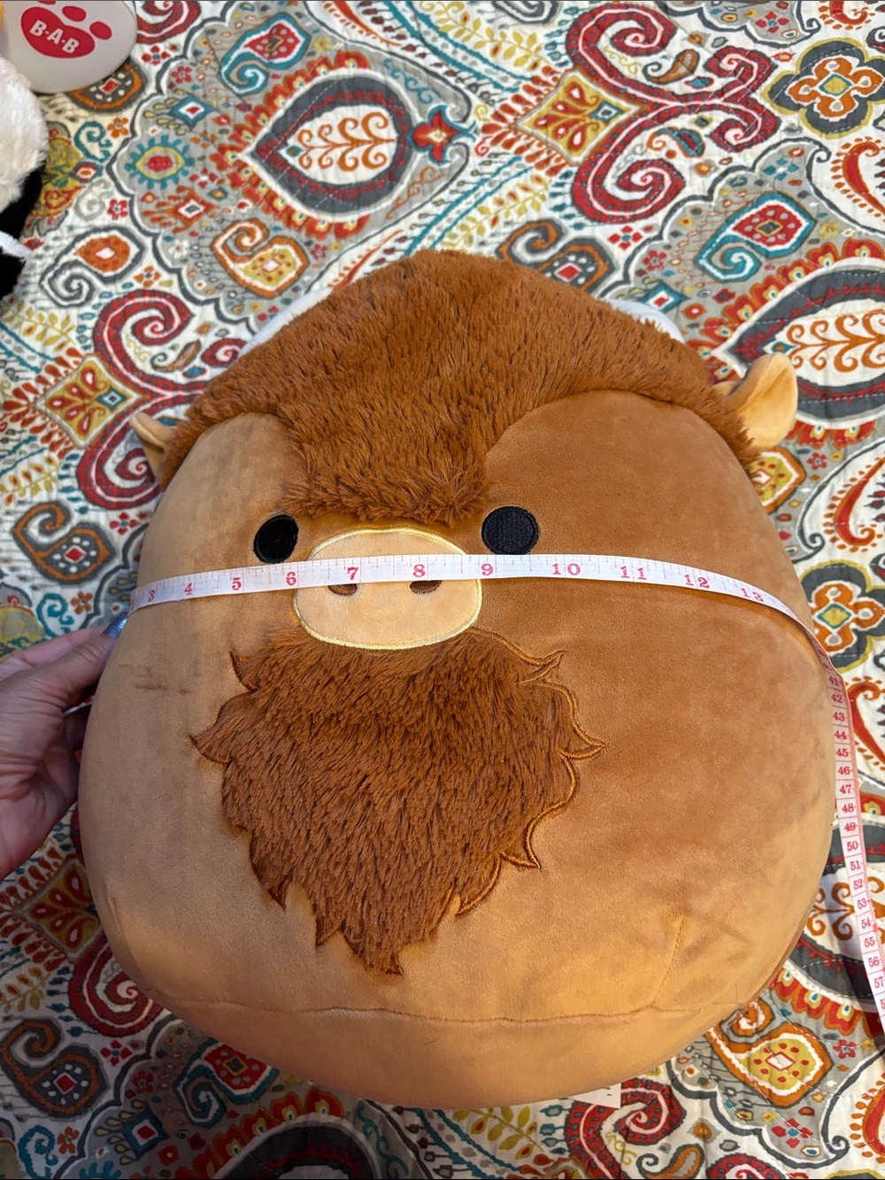 Original Squishmallows Plush - Dunkie the highland cow Brown Squishmallow - Picture 9 of 10